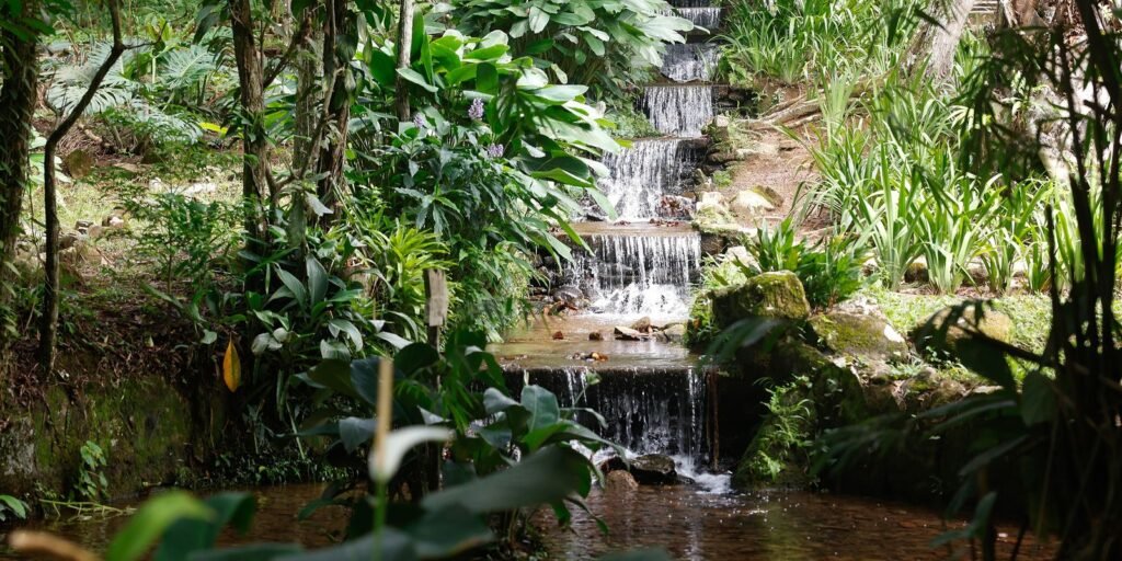 Sistema de água com mais de 200 anos abastece Jardim Botânico do Rio Sistema de água com mais de 200 anos abastece Jardim Botânico do Rio